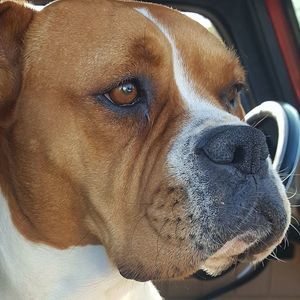 Meet your Posher, Christopher